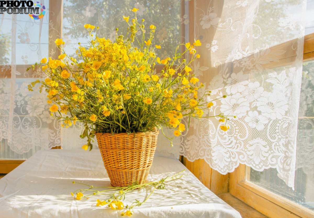 Цветы на окне