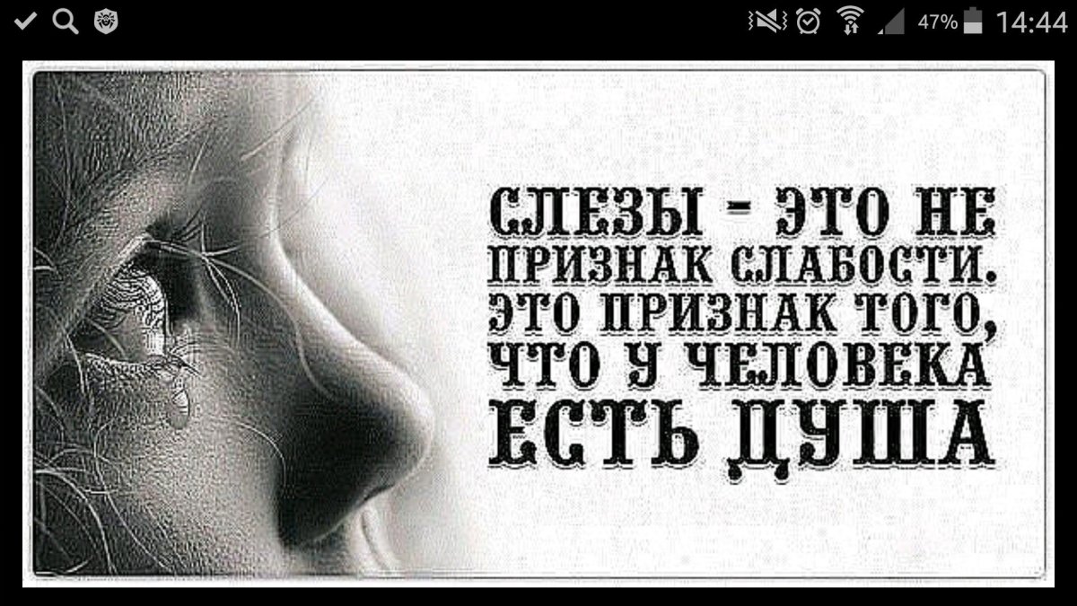 Афоризмы про слезы