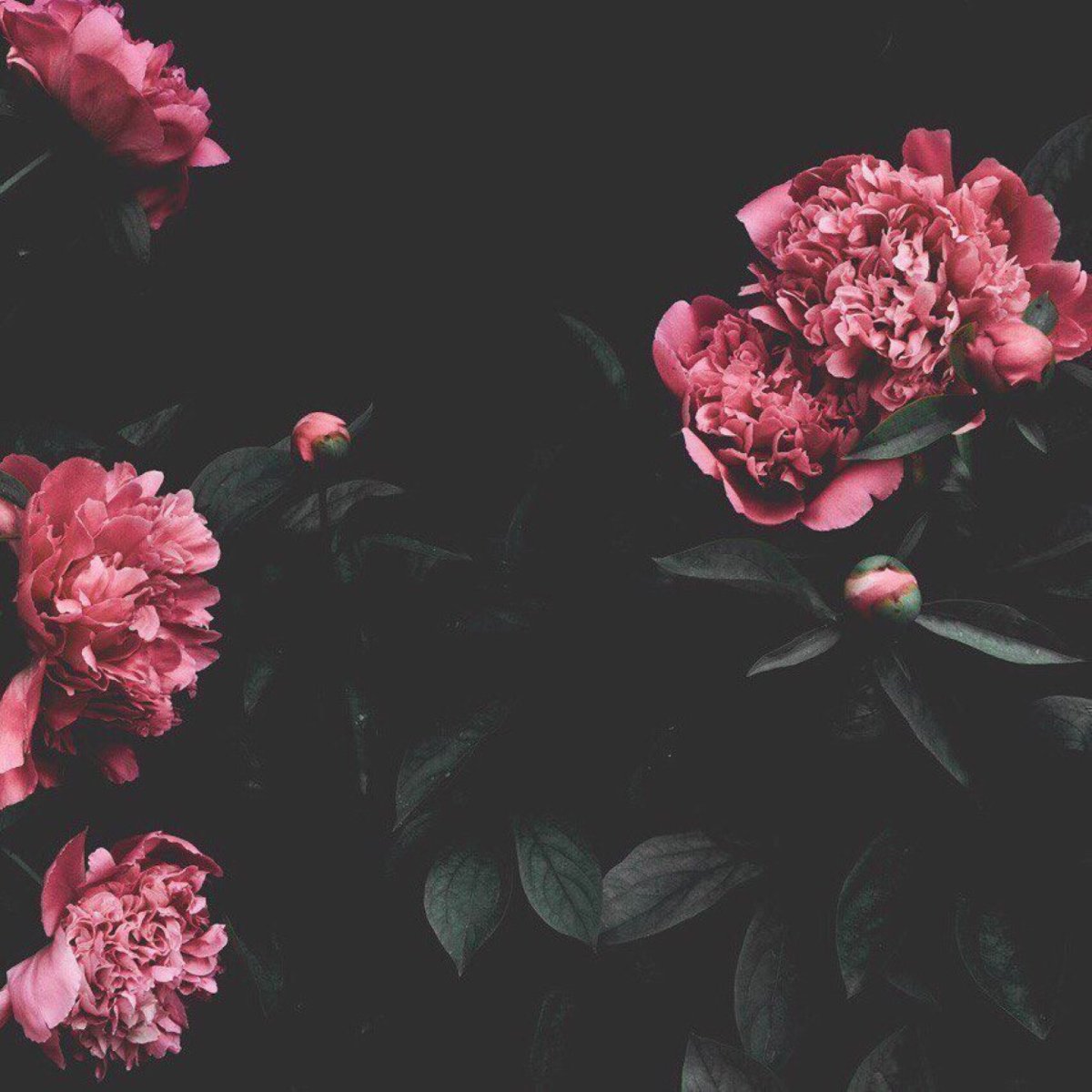 Душевные цитаты