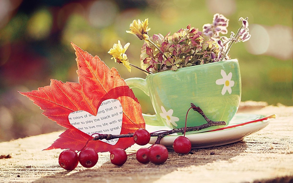 Осеннее счастье