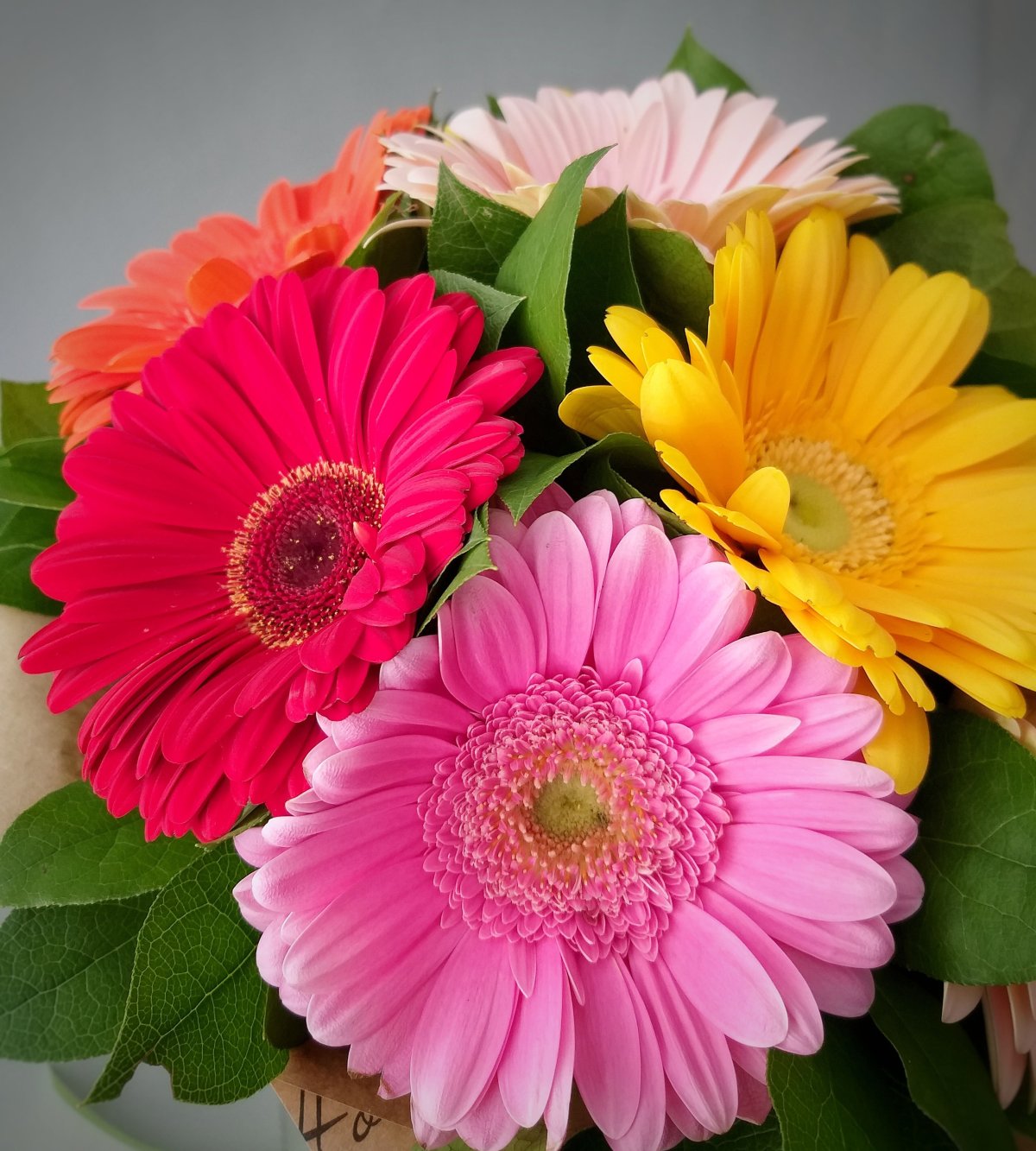 Букет "герберы и ромашки"