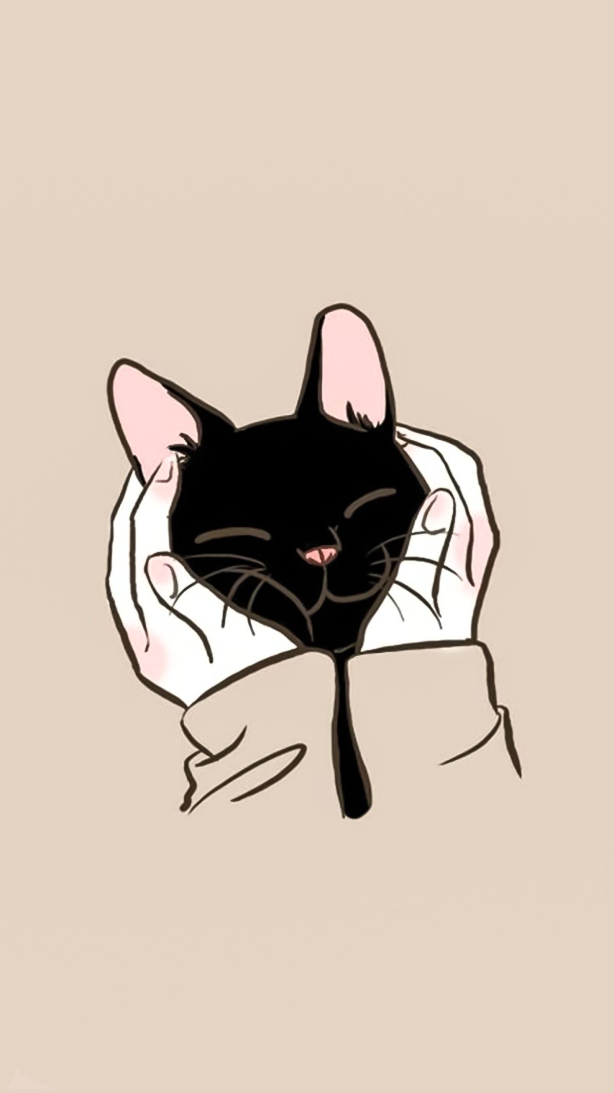 Эстетика кошек