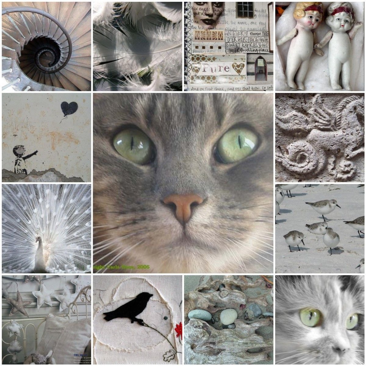 Эстетика котов коллаж