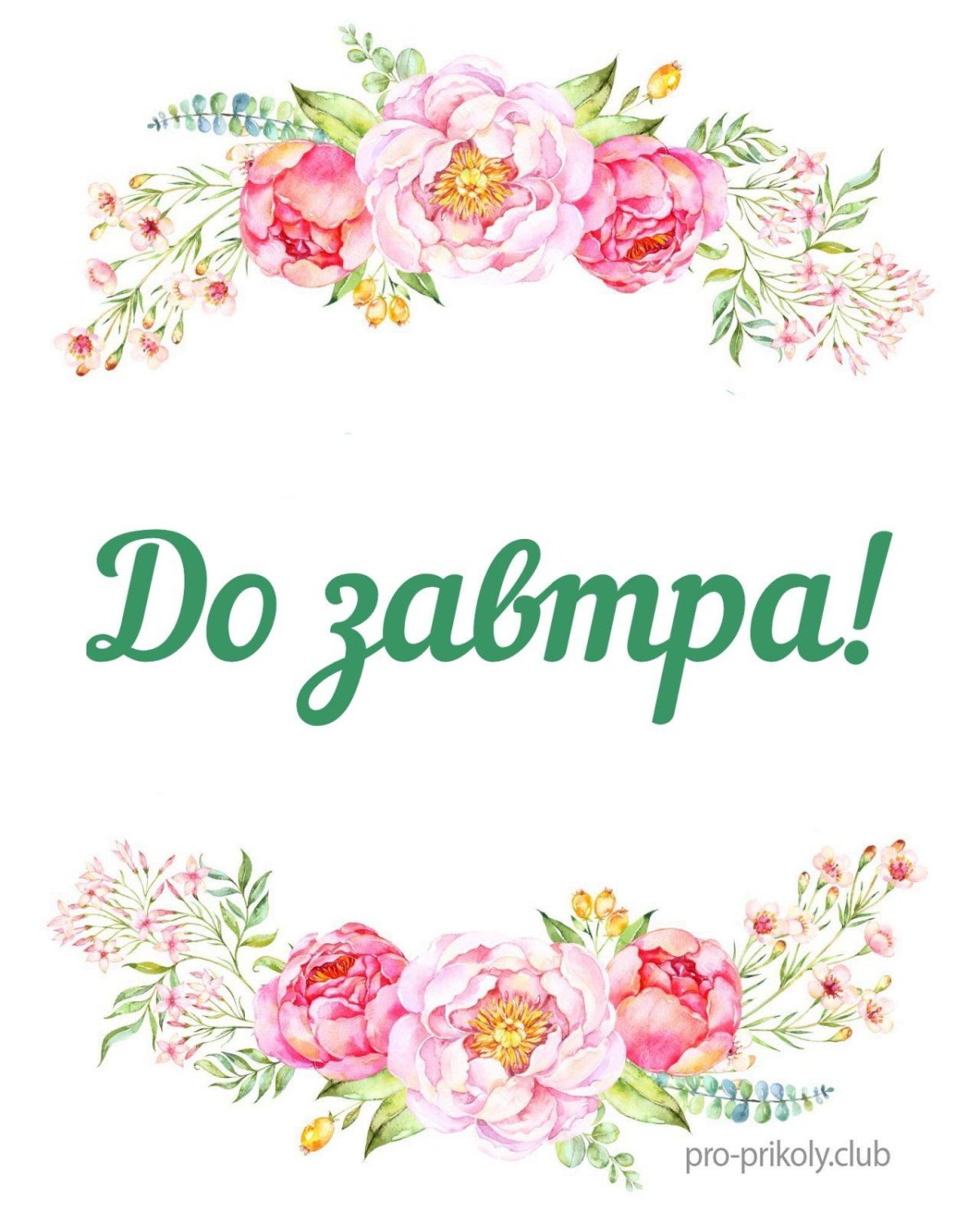 Спокойной ночи до завтра