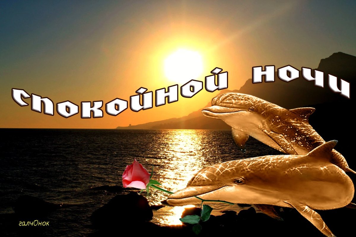 Доброй ночи крепкого сна