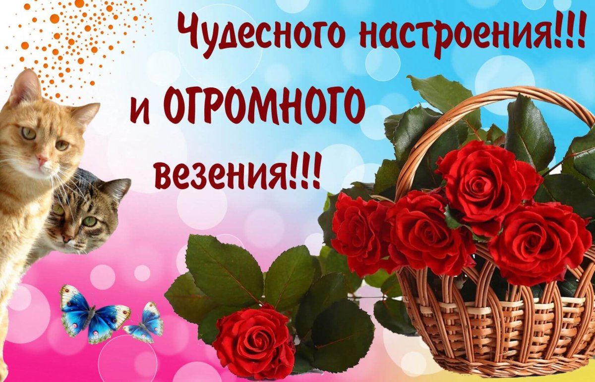 Хорошего дня и прекрасного настроения