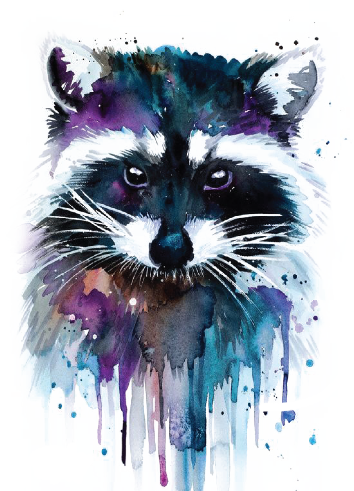 Енот полоскун арт