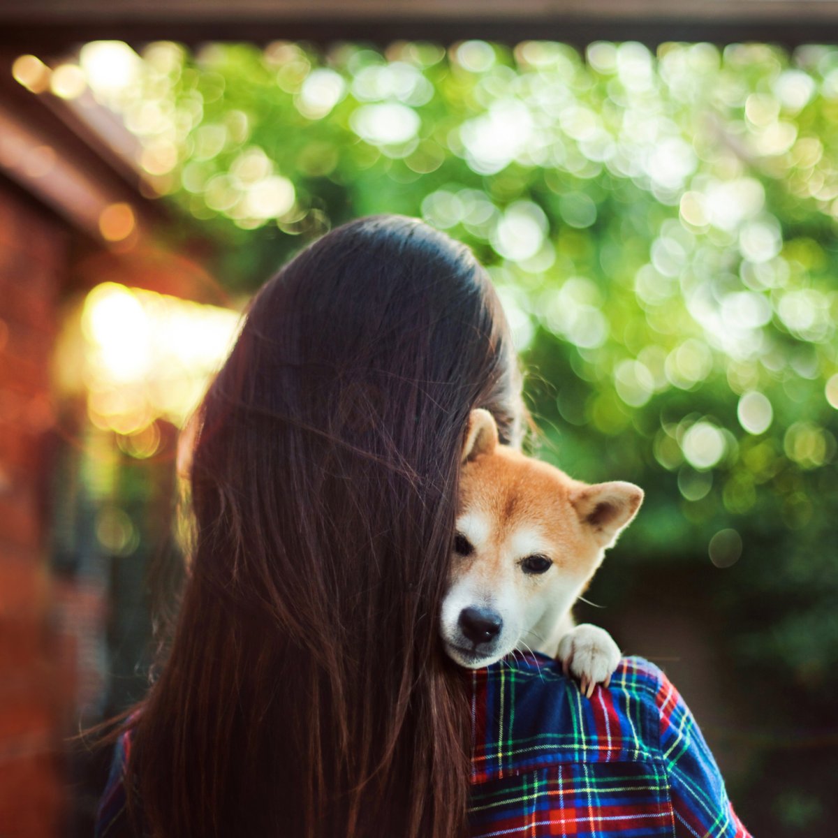 Девушка с собакой