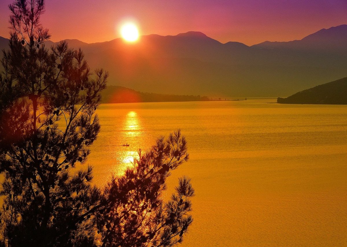 Солнце рассвет