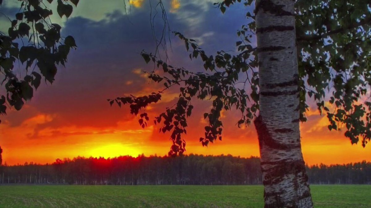 Природа моей Родины