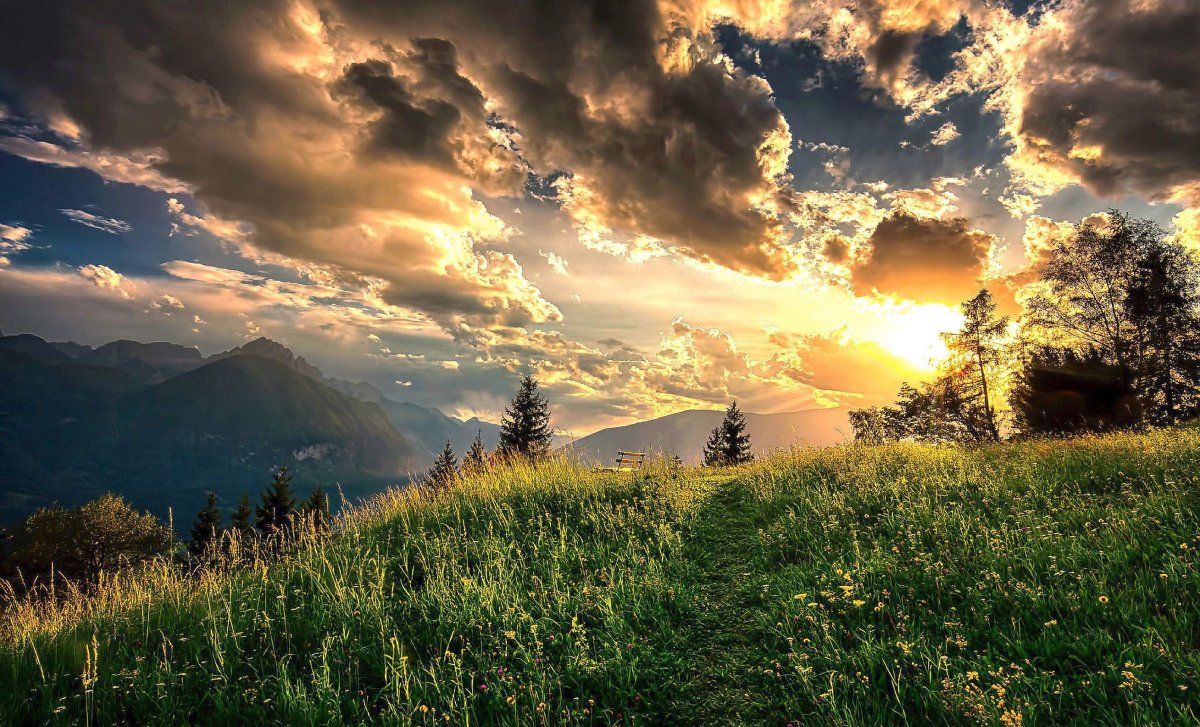 Природа закат