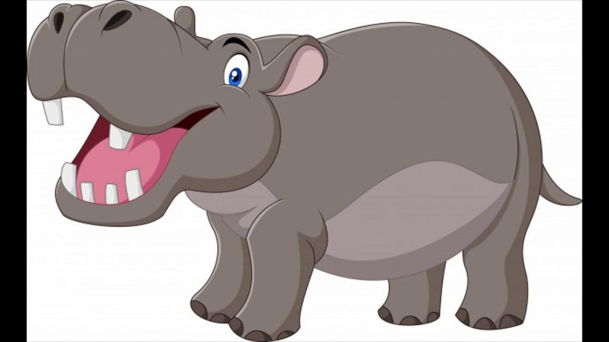 Бегемот мультяшный на белом фоне