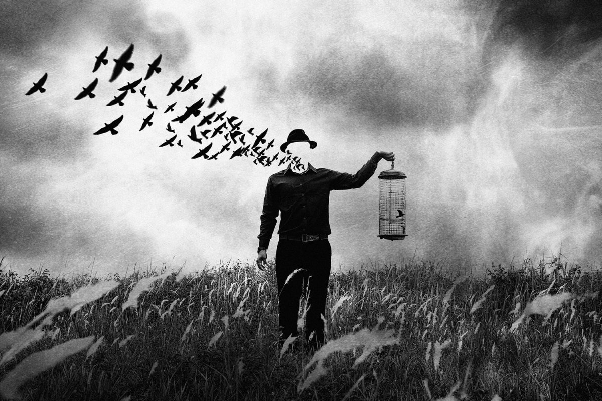 Свобода арт