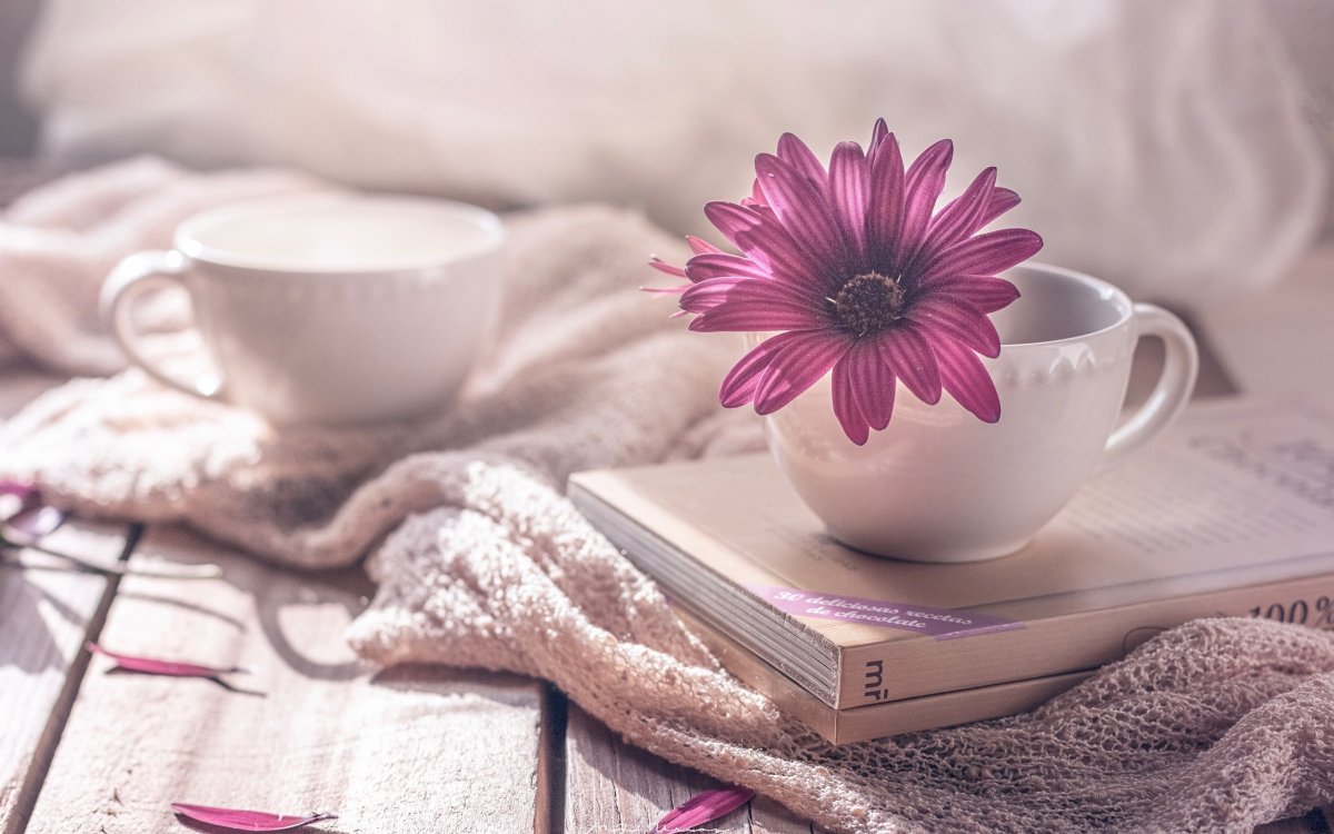 Заставки на рабочий стол кофе и цветы