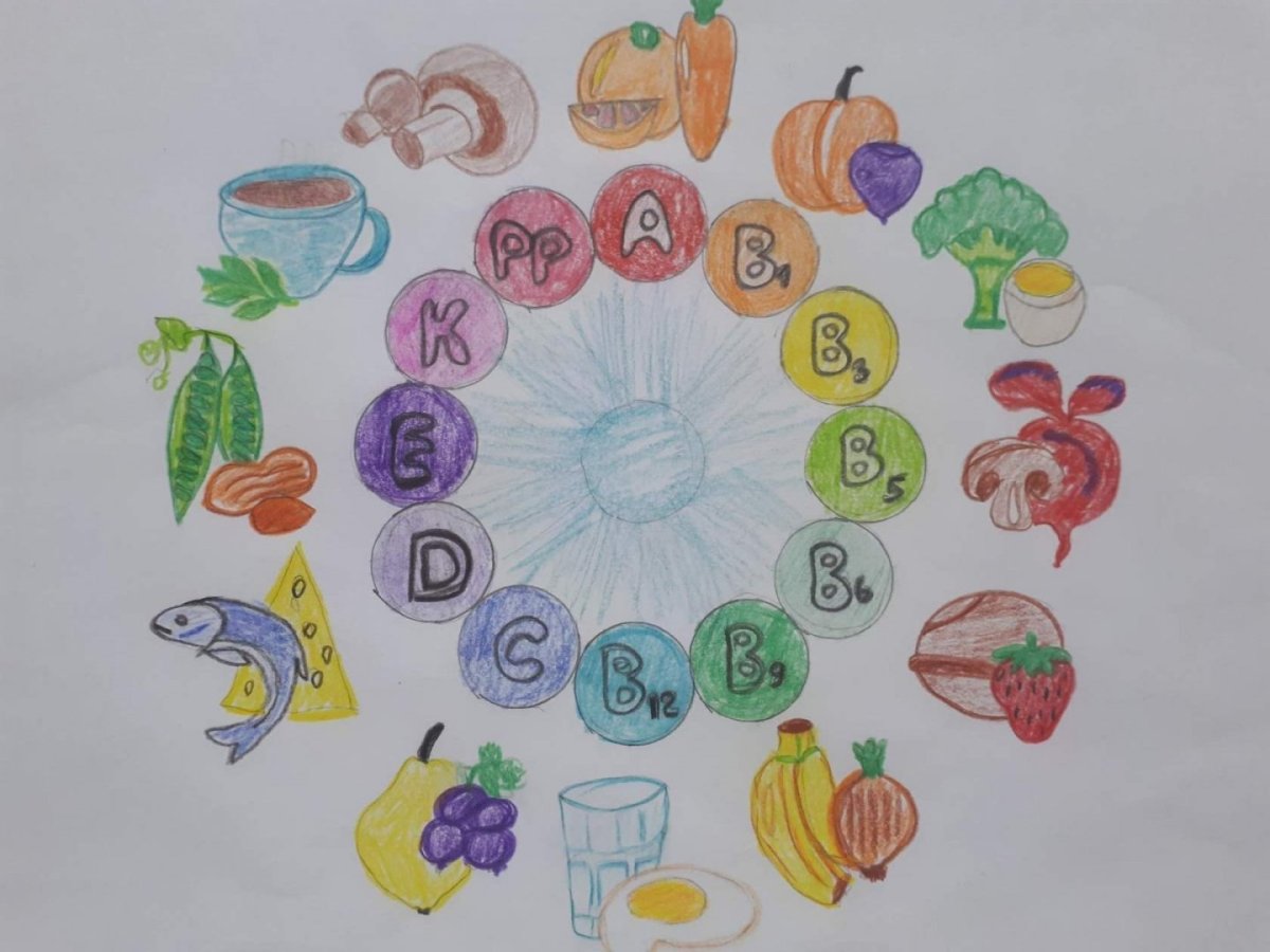 Здоровое питание рисунок