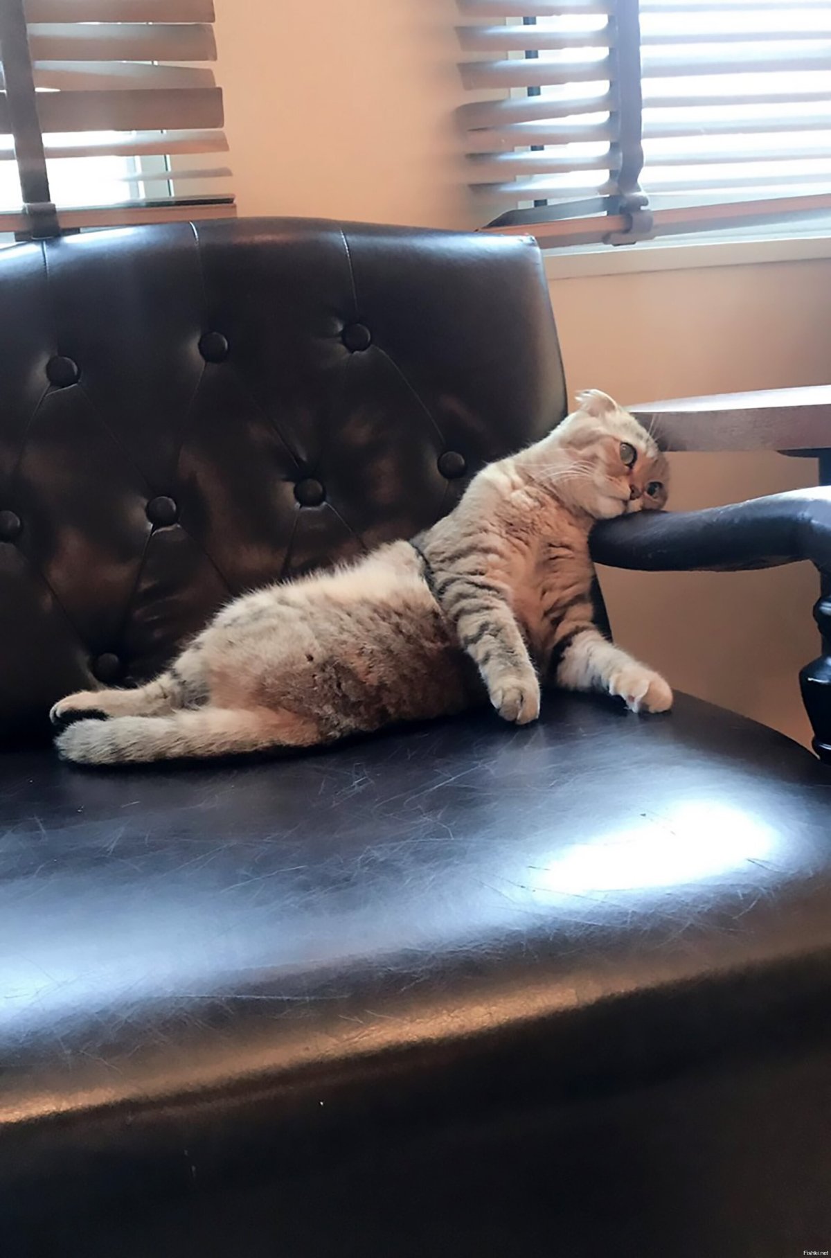 Приколы про рабочий день