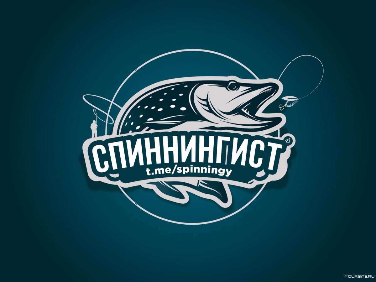 Щука логотип