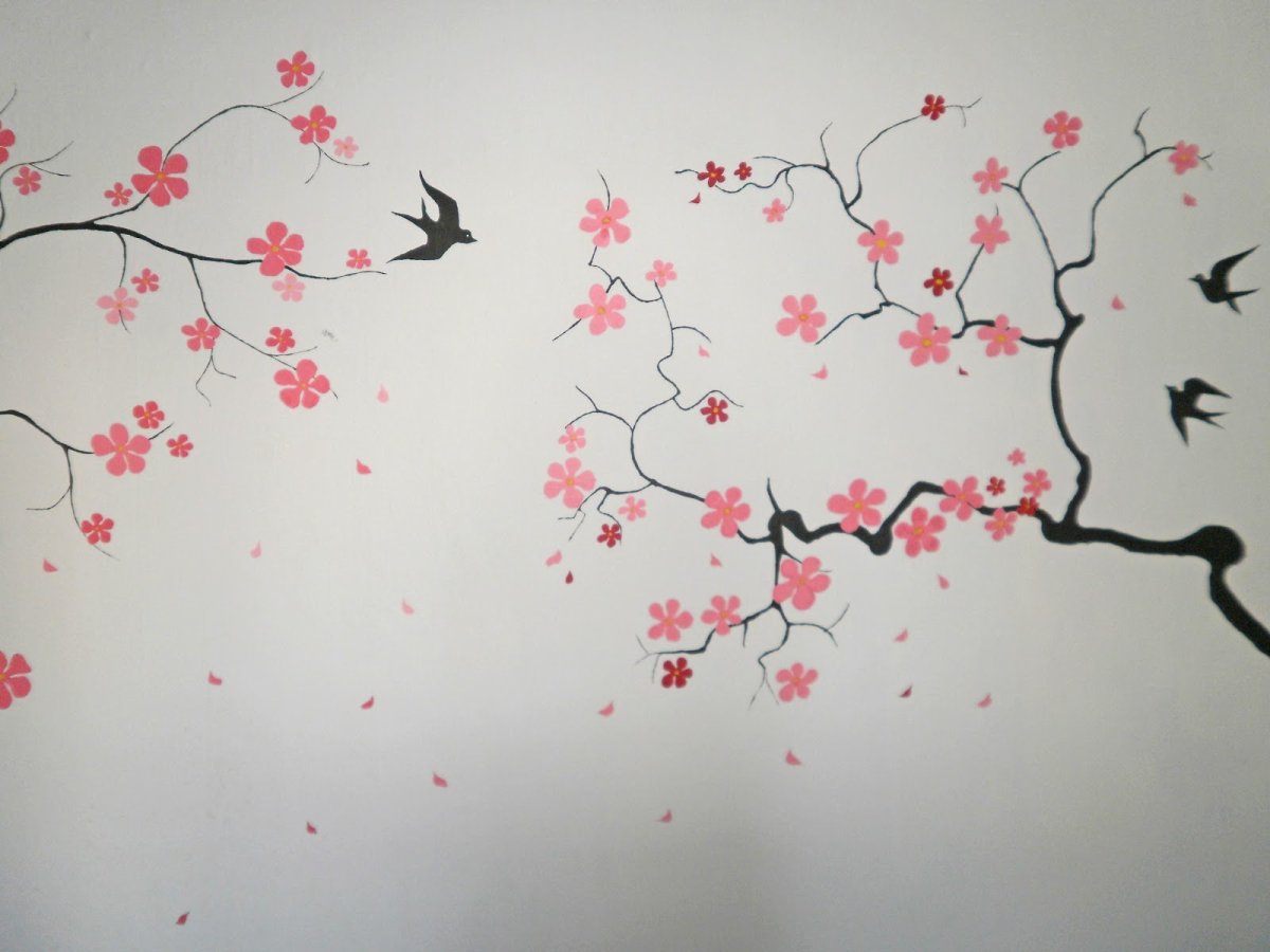 Сакура красками на стене