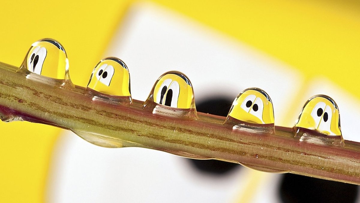 Позитивные фотообои