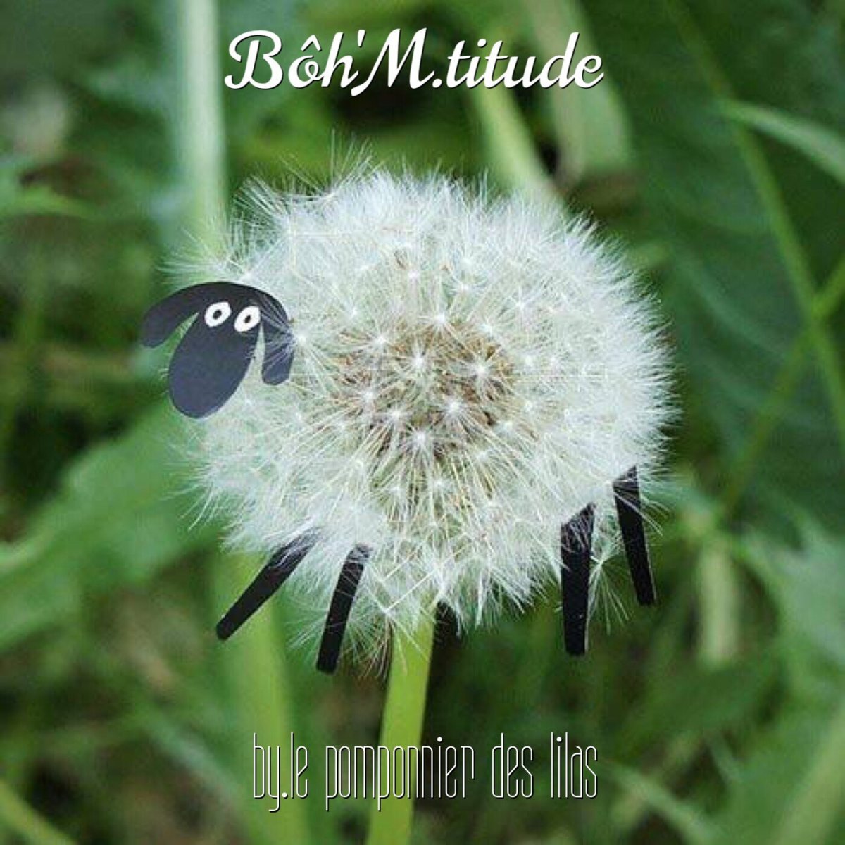 Смешной одуванчик