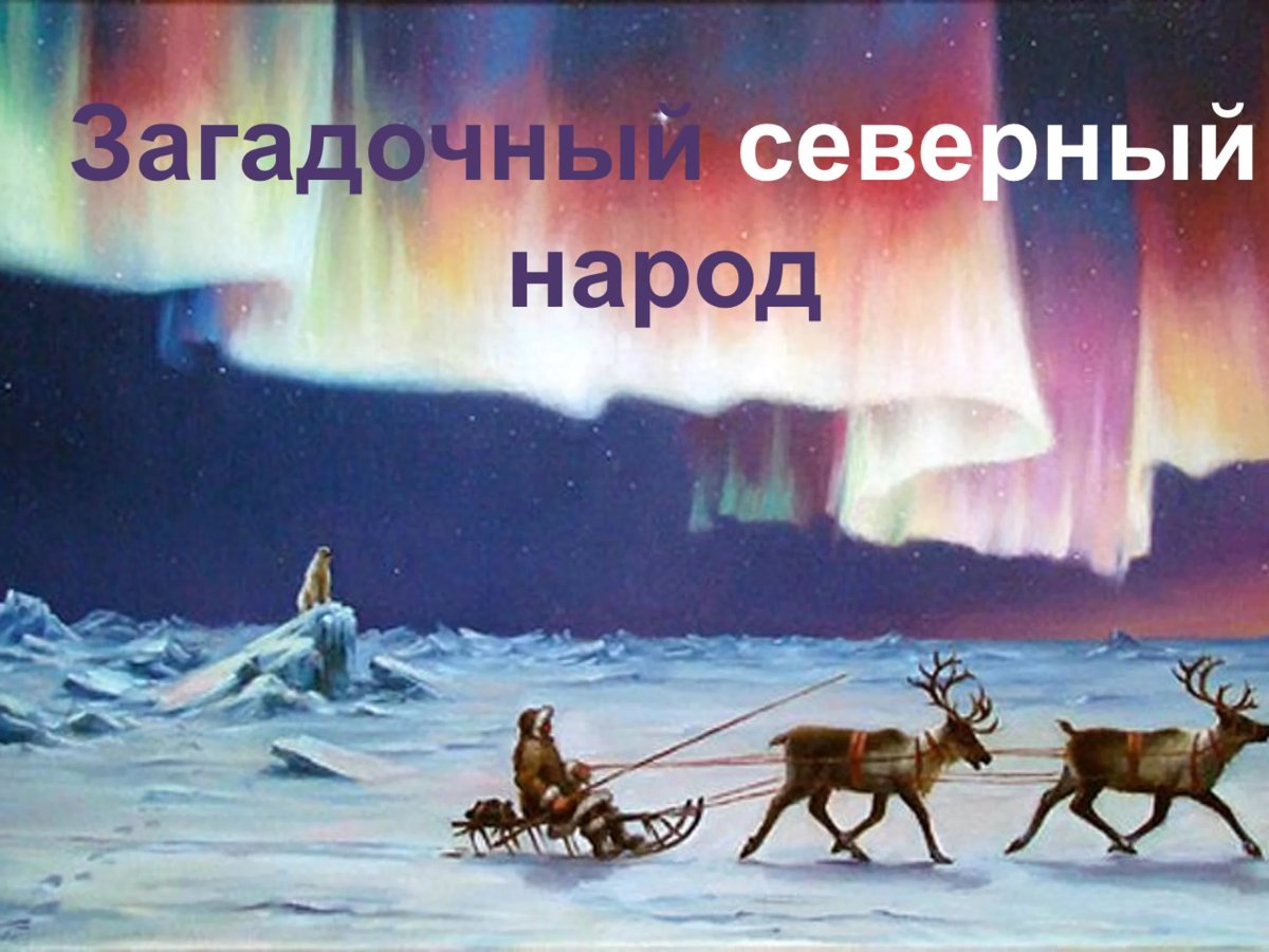 Животные севера иллюстрации