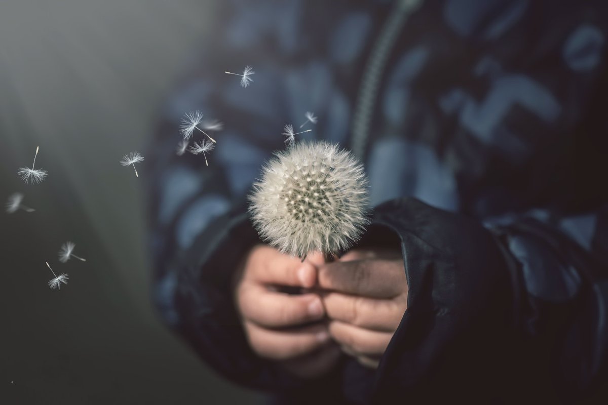 Одуванчик на голове