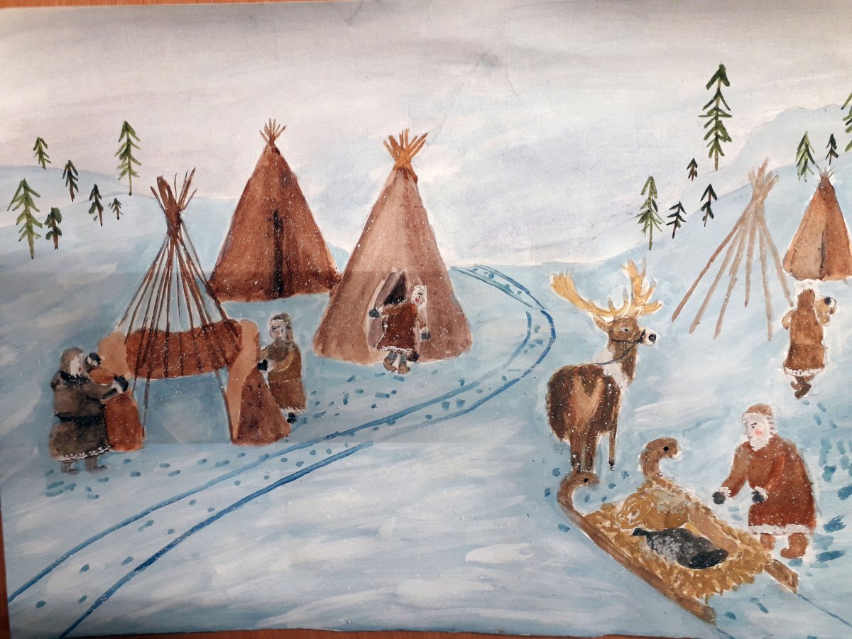 Животные севера для дошкольников