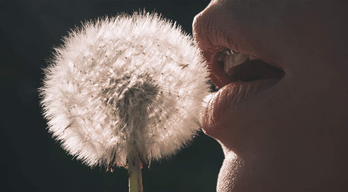 Одуванчик губы