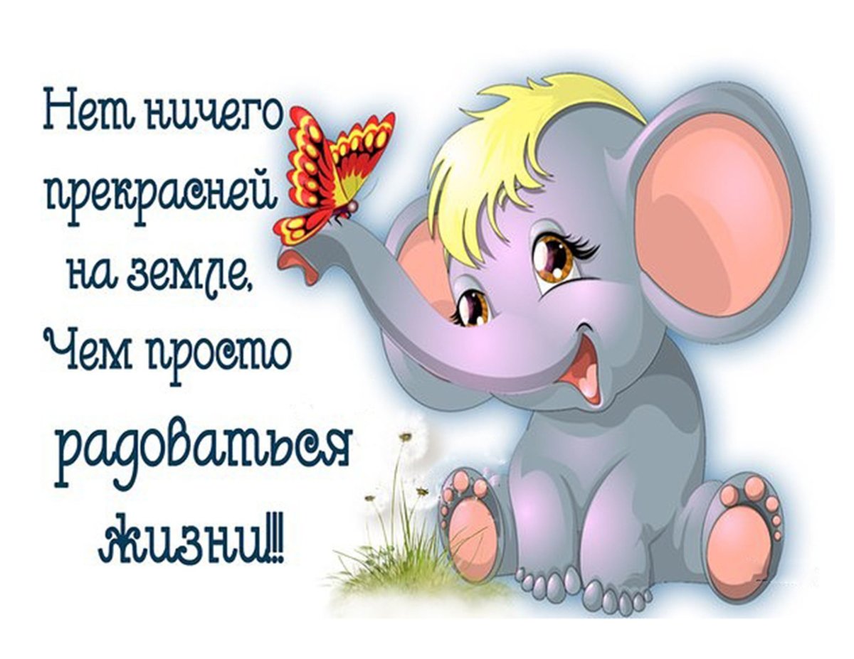 Улыбнись жизнь прекрасна