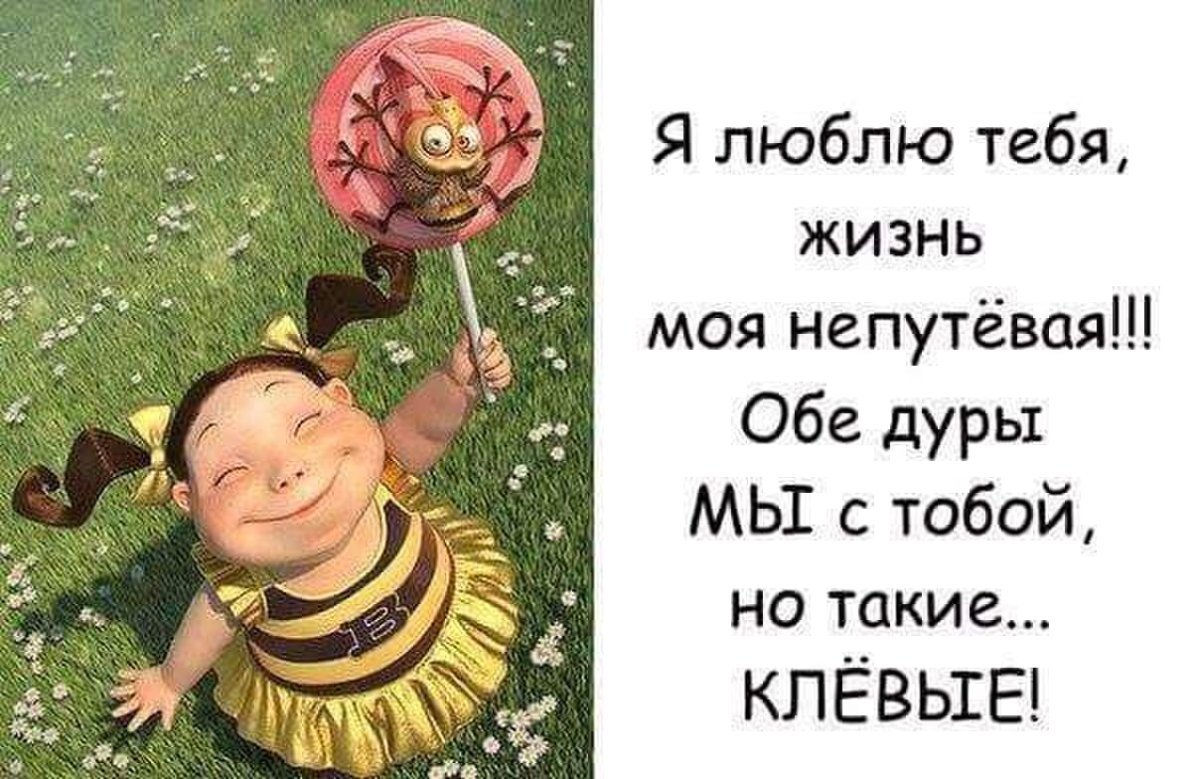 Я люблю жизнь цитаты