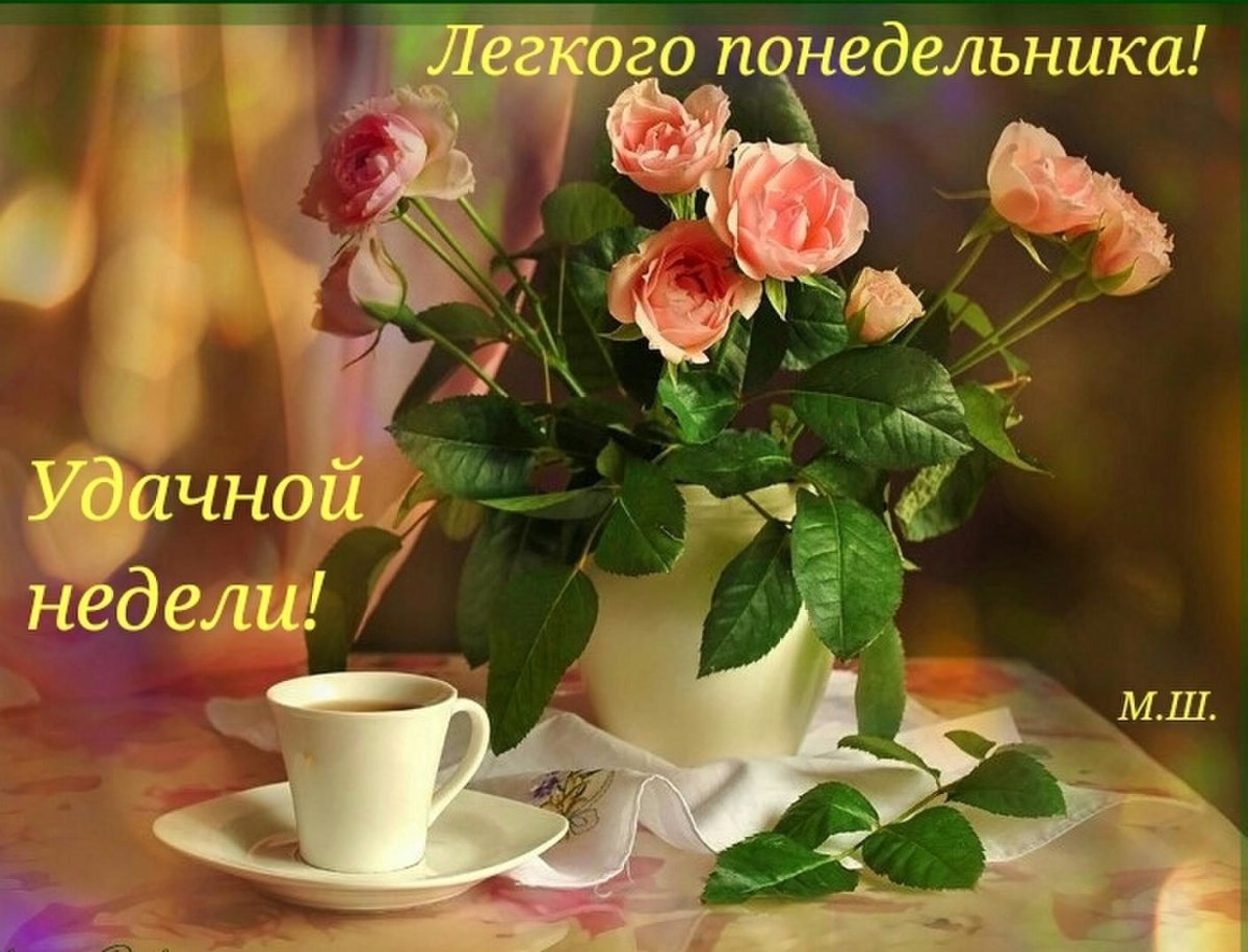 Лёгкого понедельника и удачной