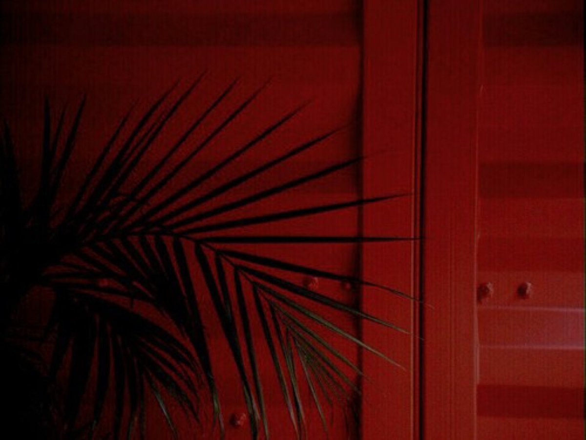 Пейтон красный Эстетика