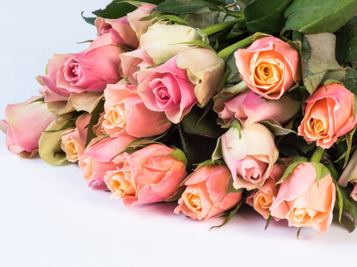 С днём рождения женщине открытки стильные