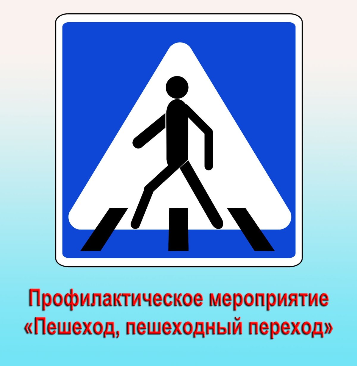 Профилактическое мероприятие пешеходный переход