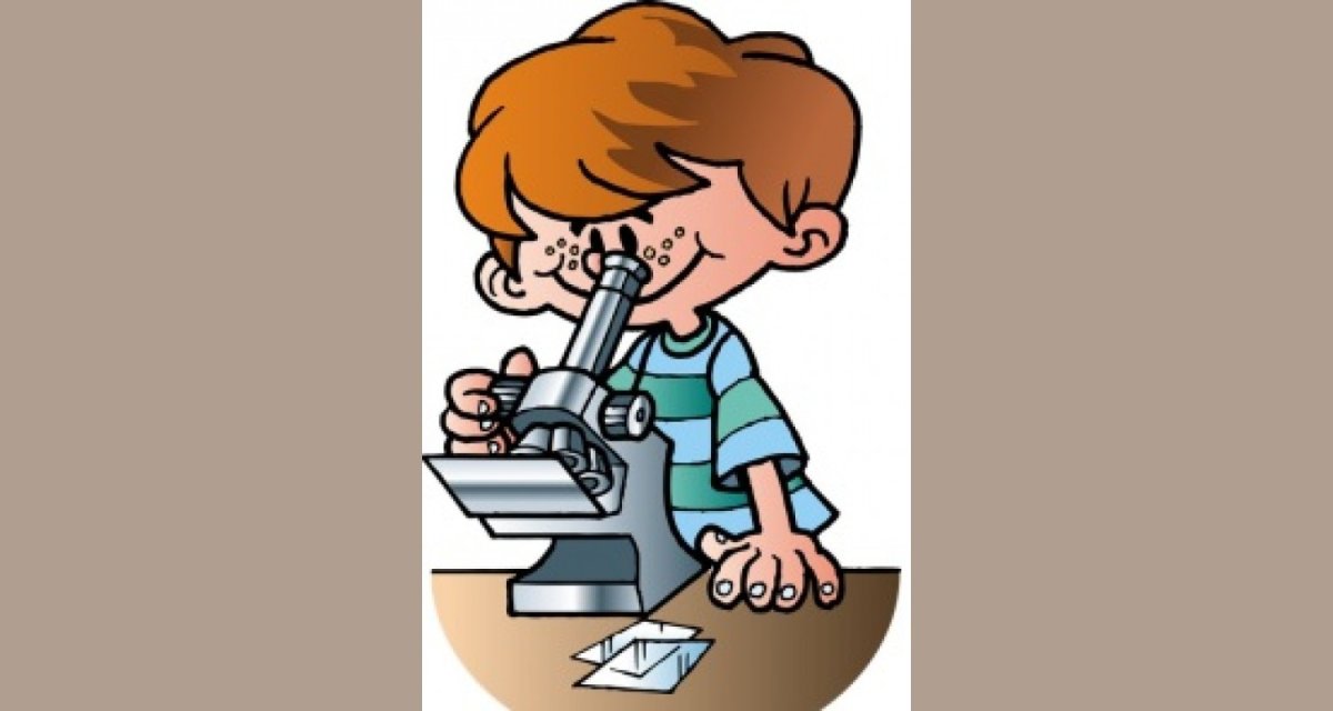 Кружок Юный исследователь