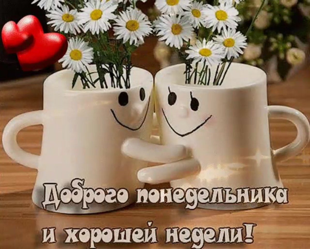 С добрым утром понедельника и удачной недели