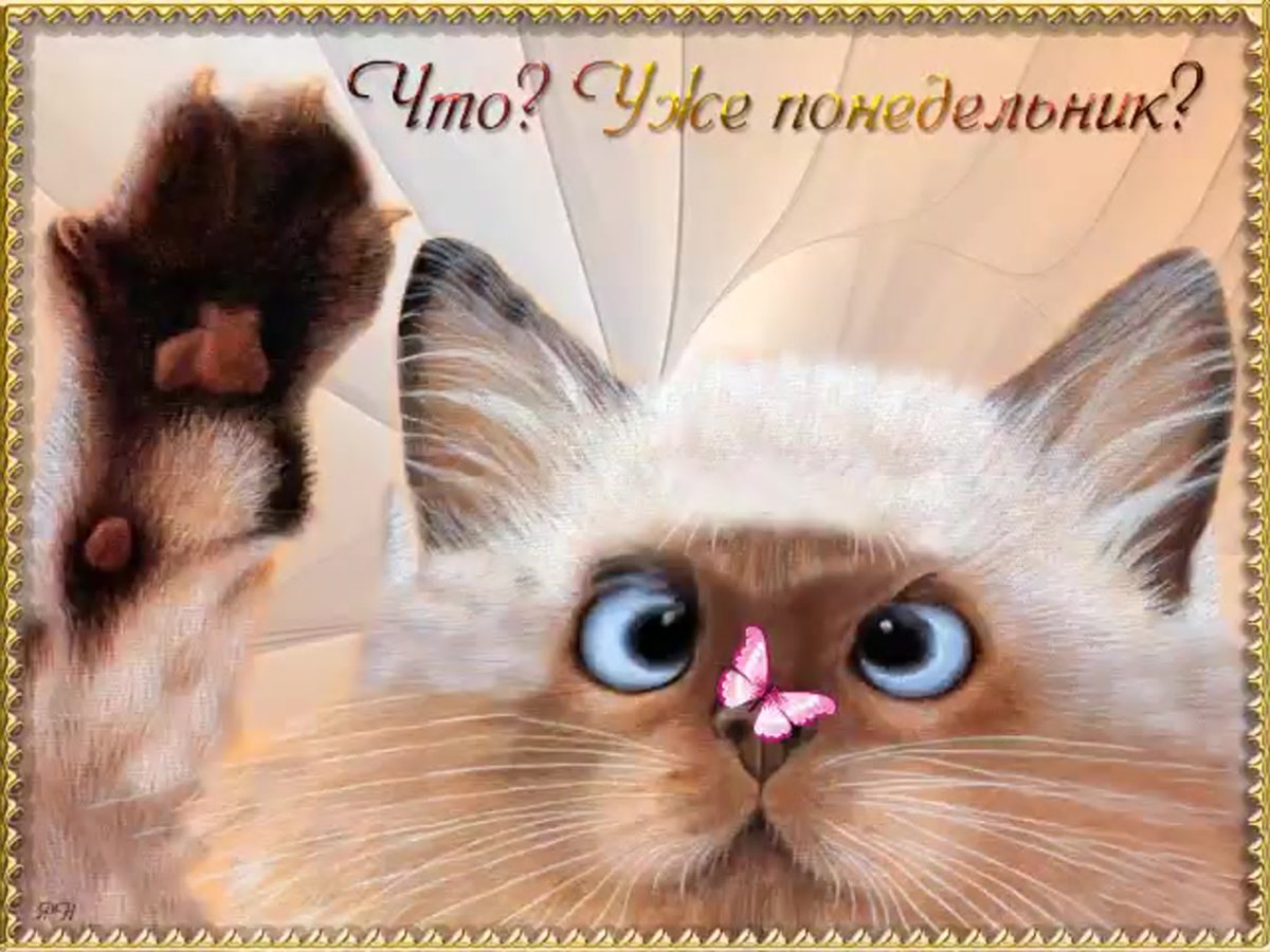 Открытки с понедельником