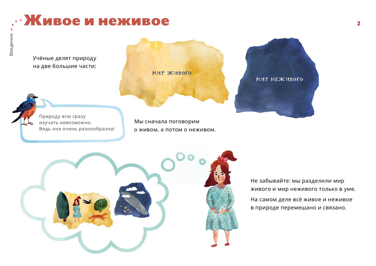 Игра Живая и неживая природа