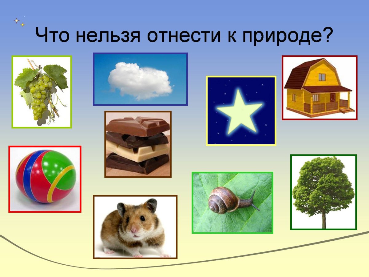 Живая и неживая природа 6 класс