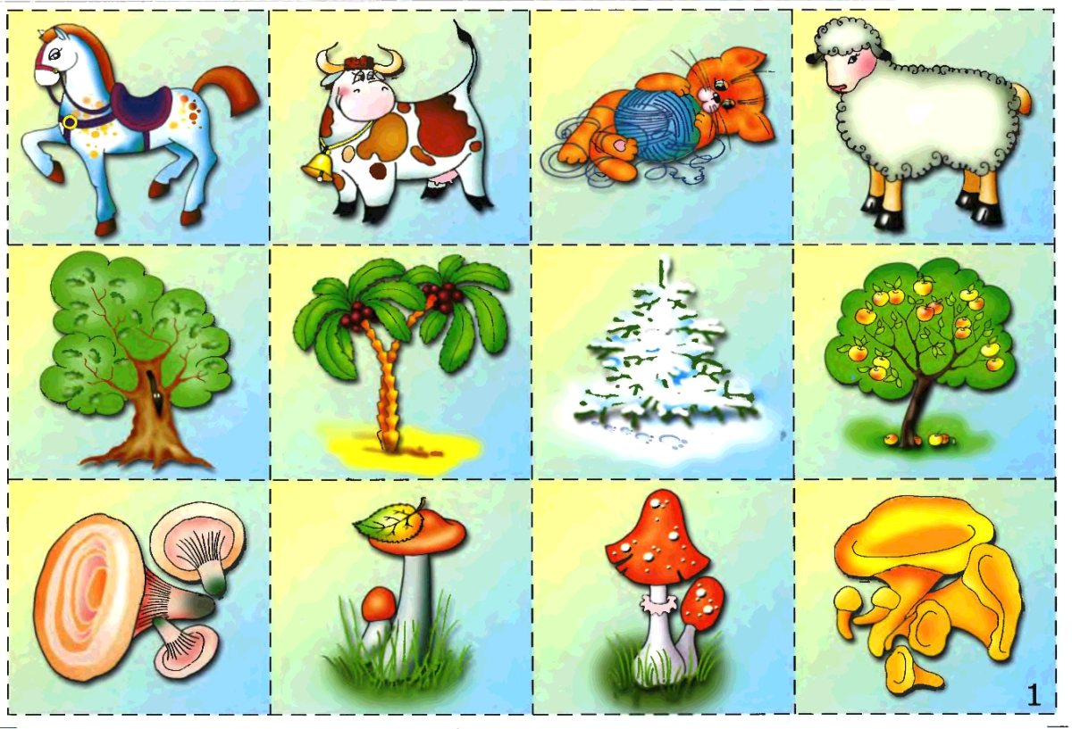 Царства неживой природы