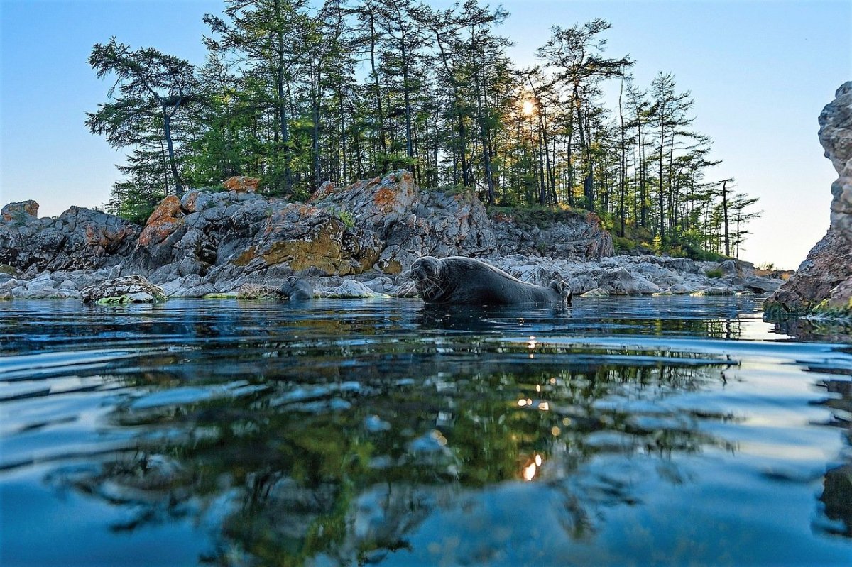 Архипелаг Ушканьи острова на Байкале