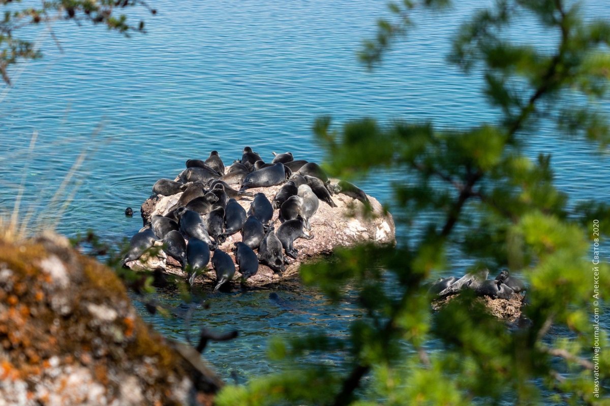 Архипелаг Ушканьи острова