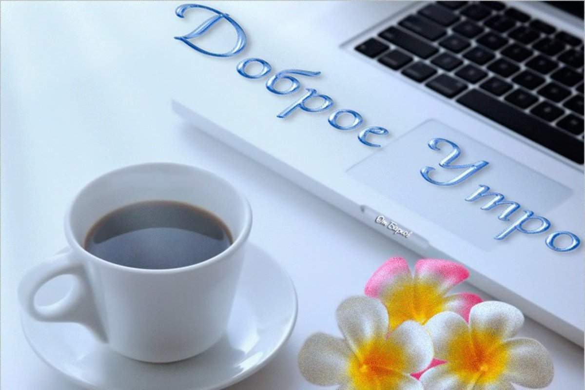 Добро пожаловать в Сочи