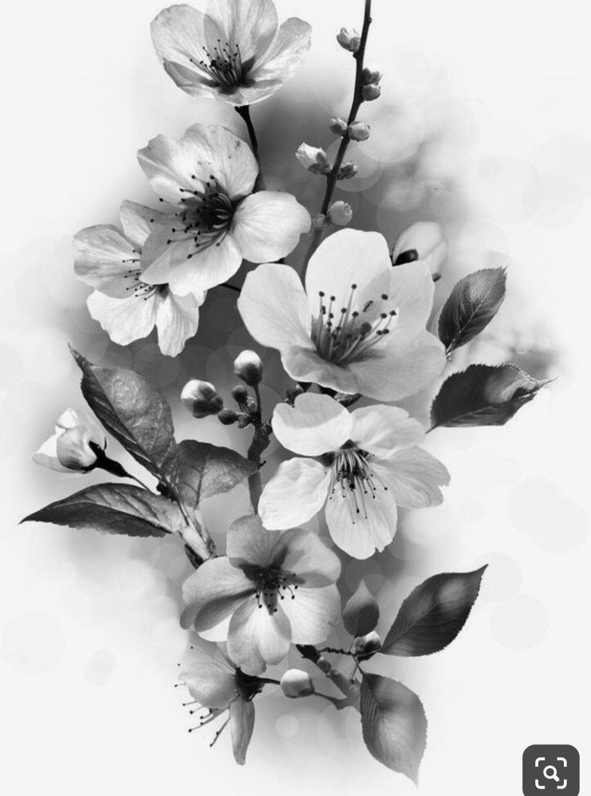 Цветы эскиз реализм