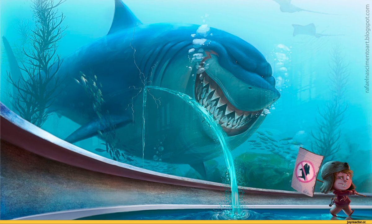 Смешная акула