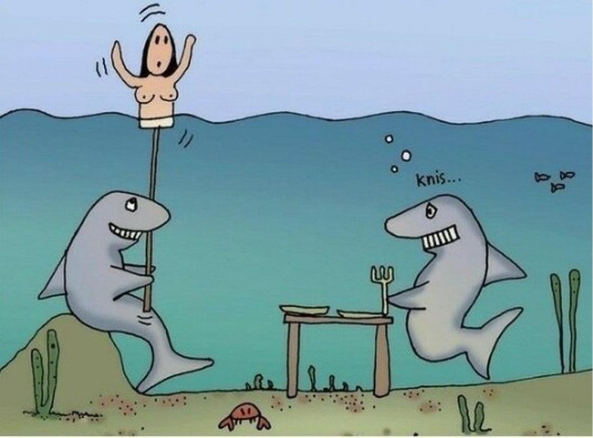 Акула сельдевая Тихоокеанская образ жизни