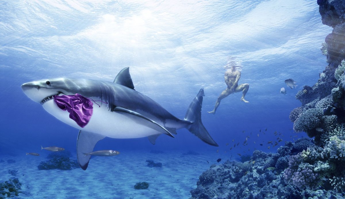 Акула в море