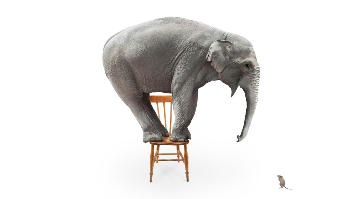 Креативная реклама со слоном