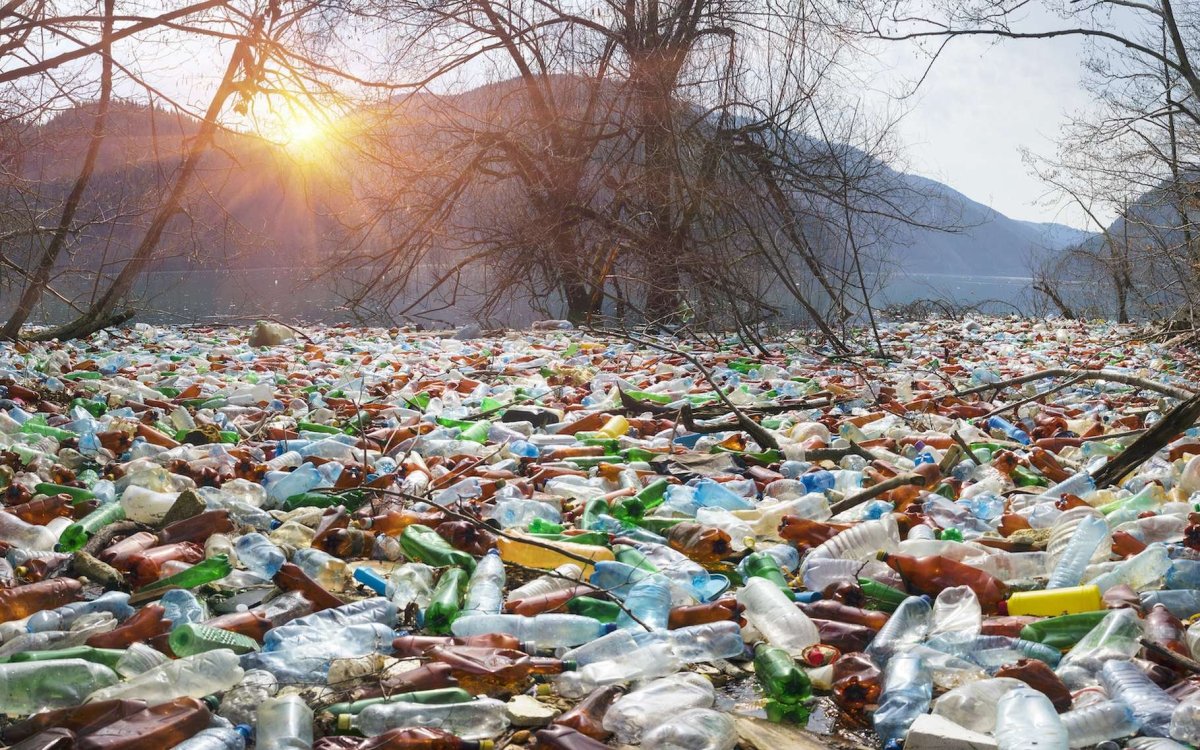 Мусор на природе до и после