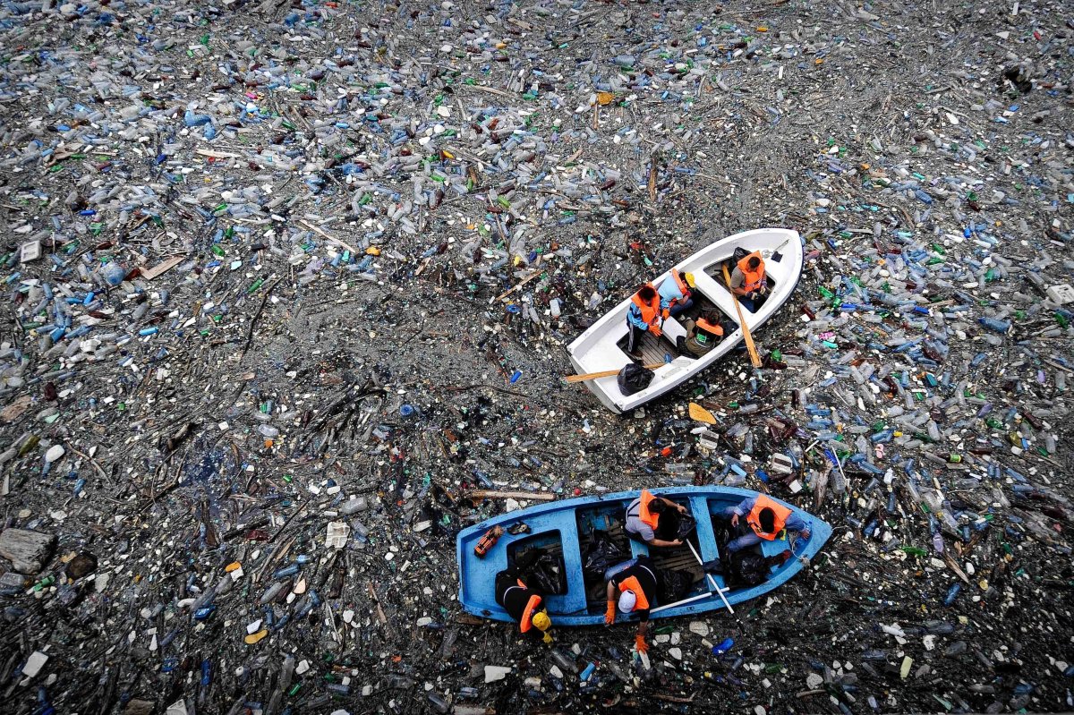 Экологический сбор мусора